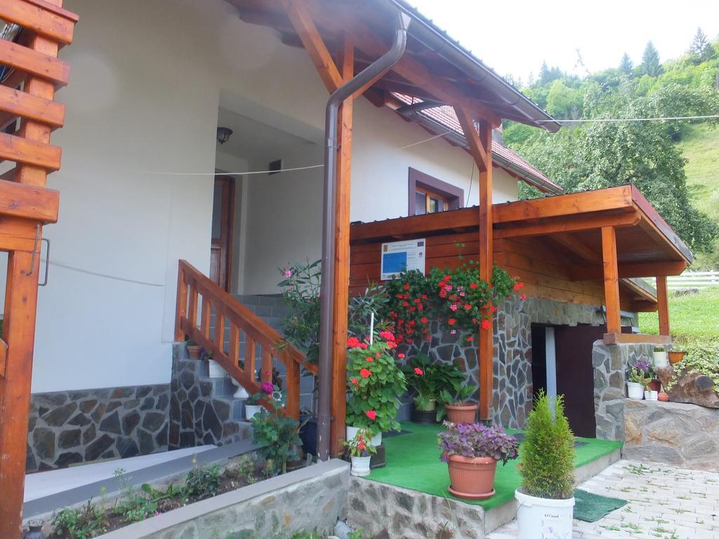 Pensiunea Piatra Mandrutului Scarisoara  Ngoại thất bức ảnh