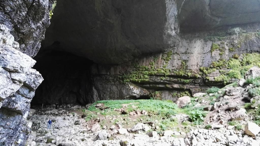 Pensiunea Piatra Mandrutului Scarisoara  Ngoại thất bức ảnh